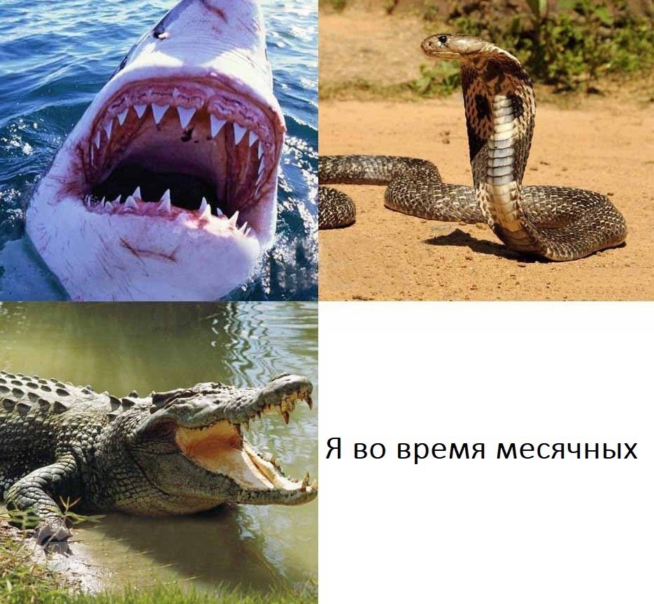 Приколы с надписями