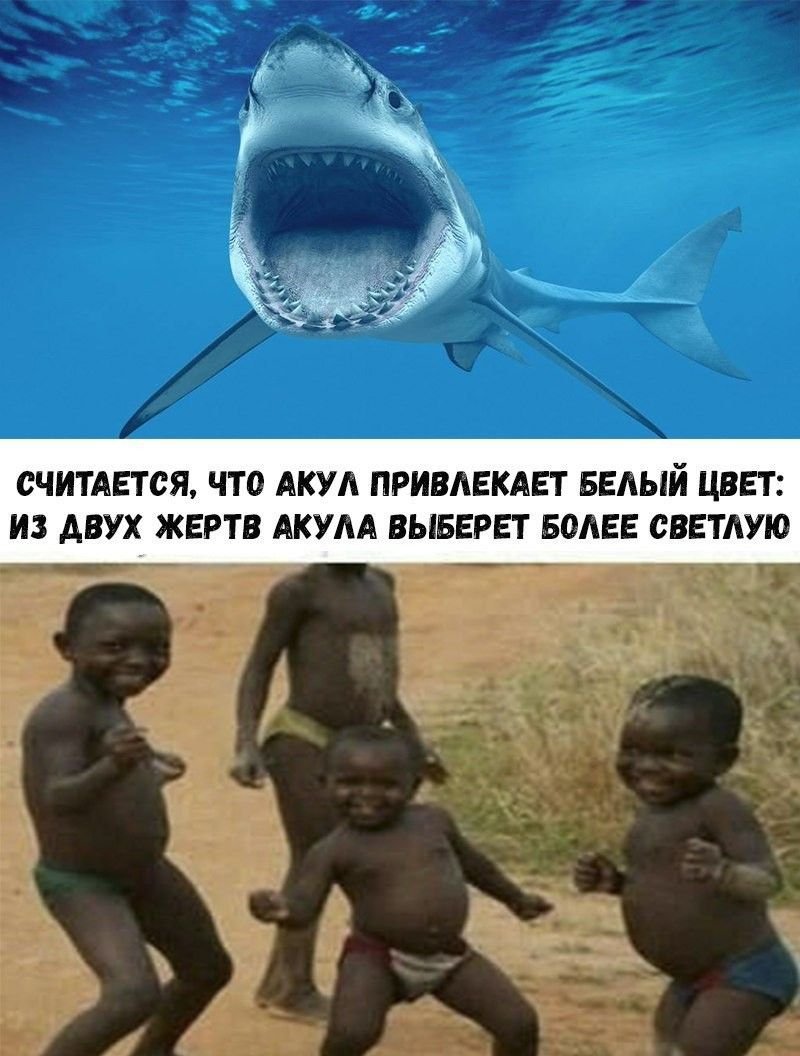 Приколы с текстом в картинках