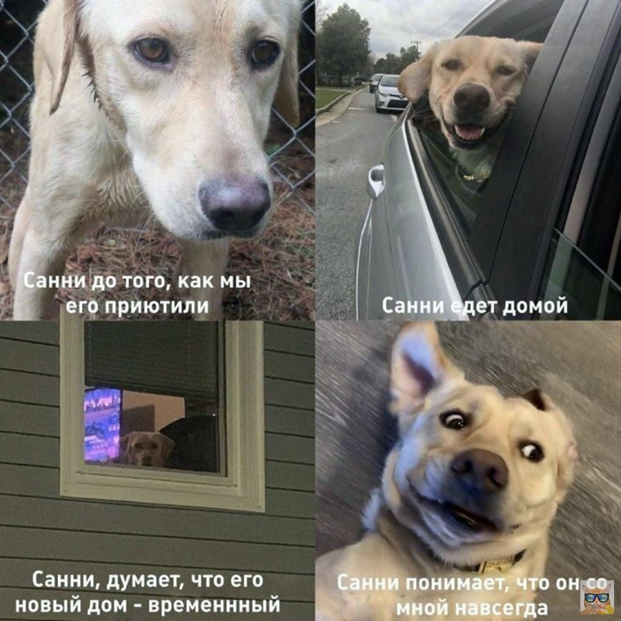 Смешной черный юмор