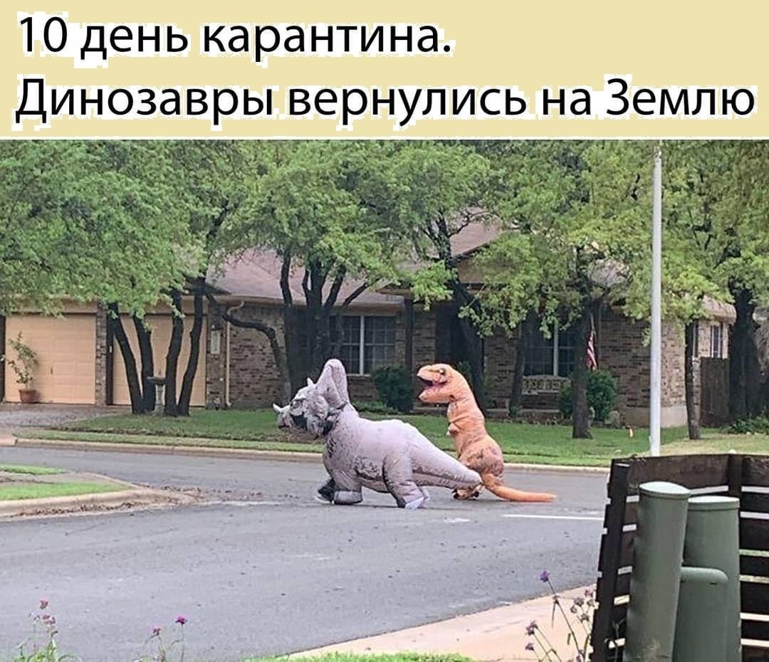 Шутки про шашлык