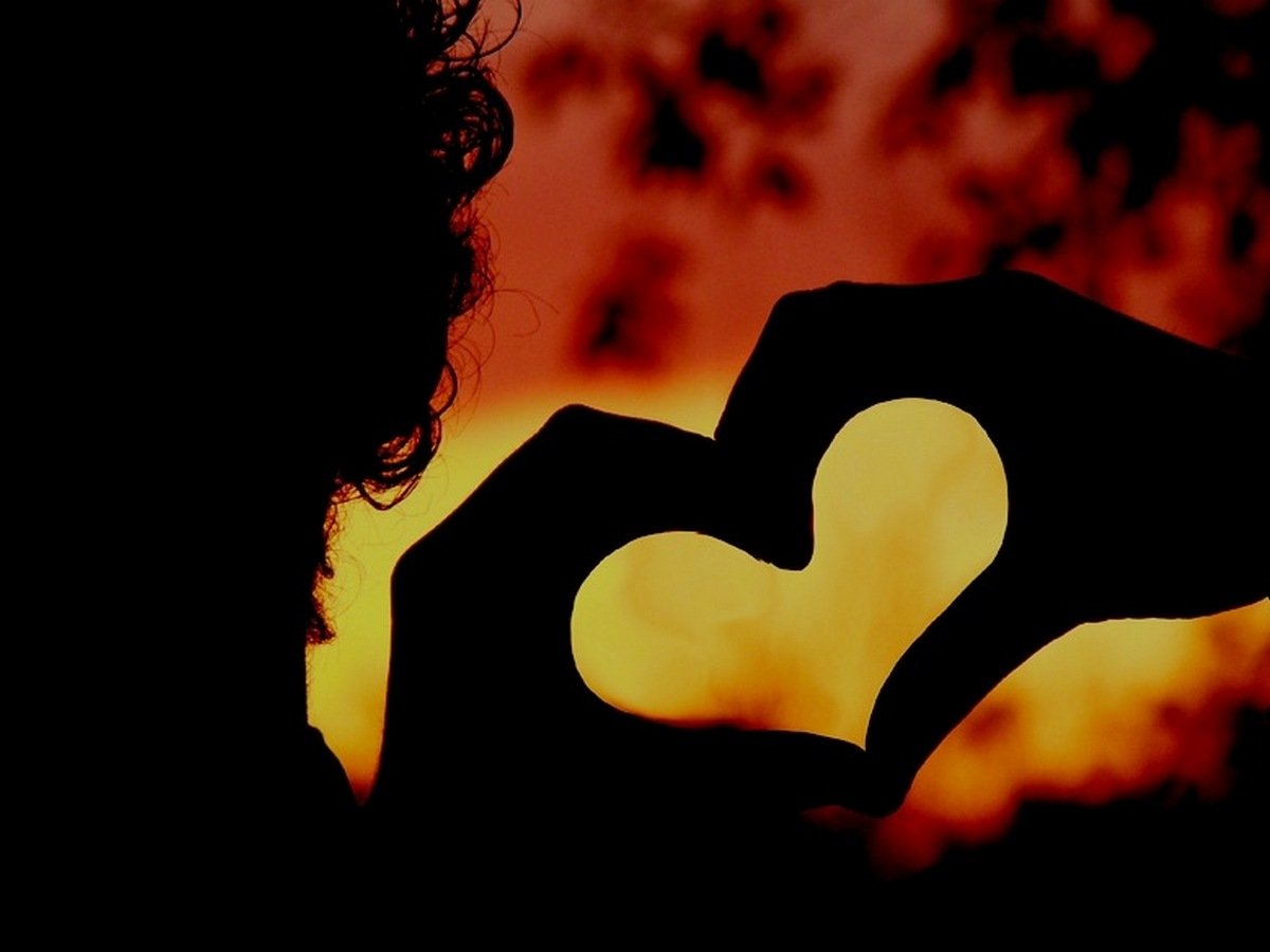 Тень сердца