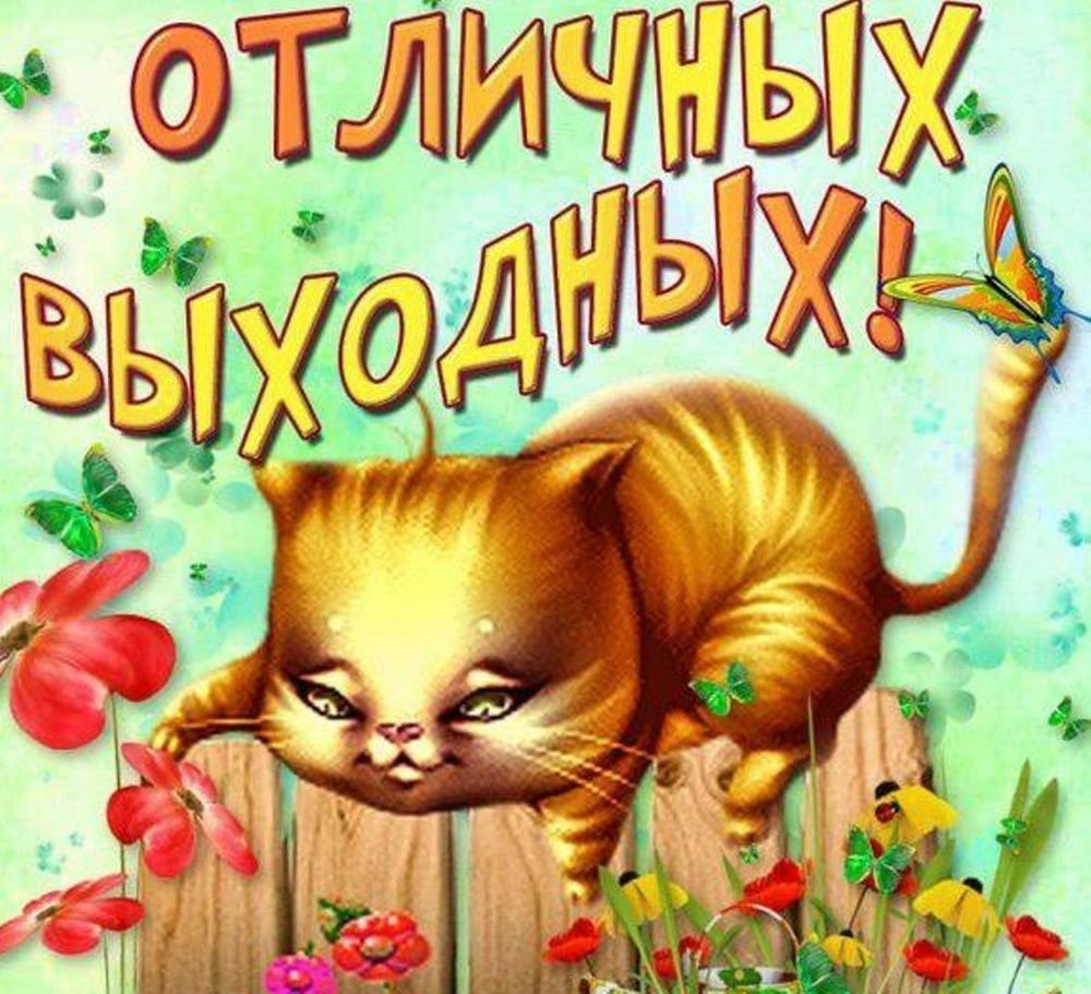 Открытка "выходной"