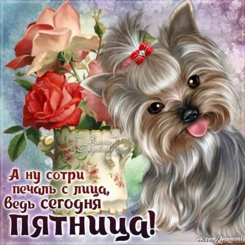 Открытки с добрым утром пятницы