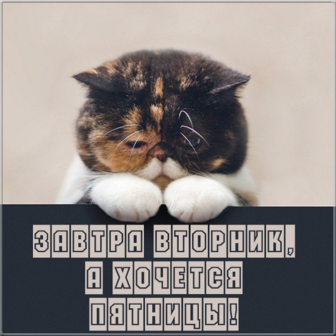 Смайлики доброй ночи