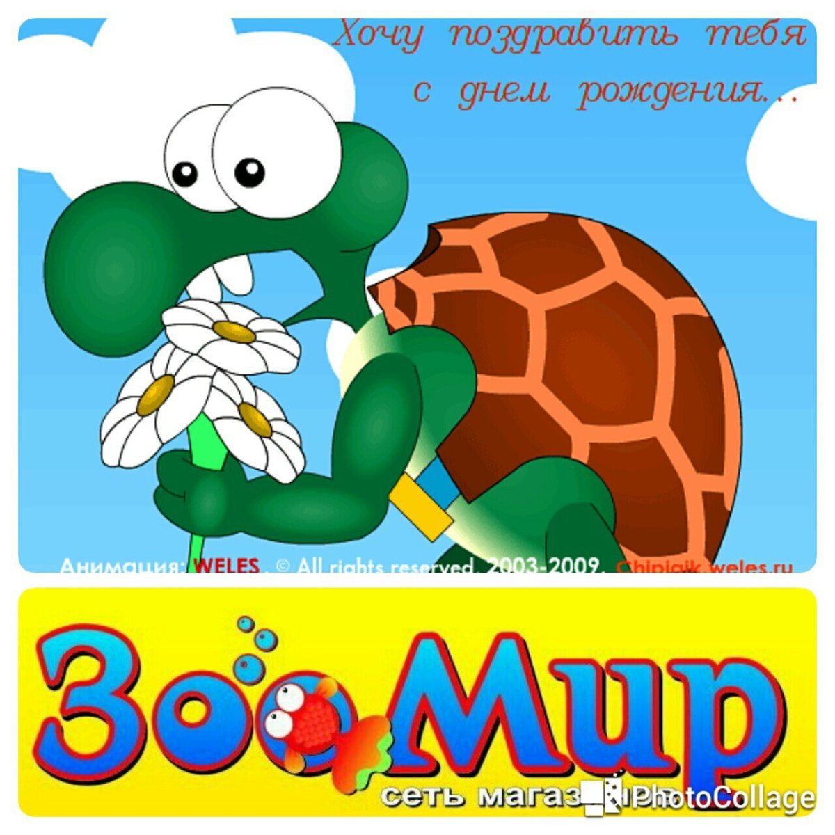 С днём рождения Никита поздравления