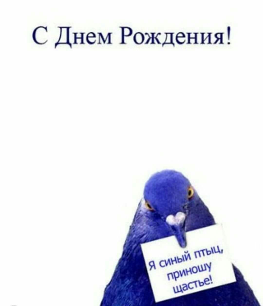 Александр с днем рождения картинки прикольные