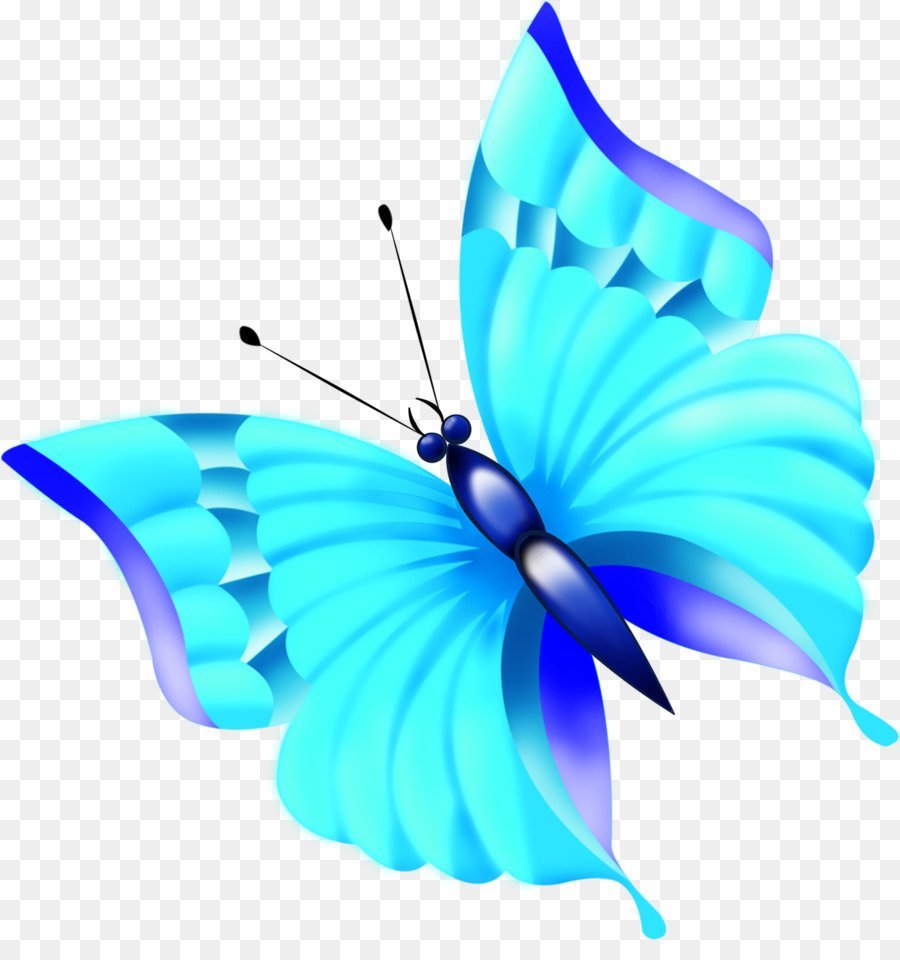 Бабочки на белом фоне