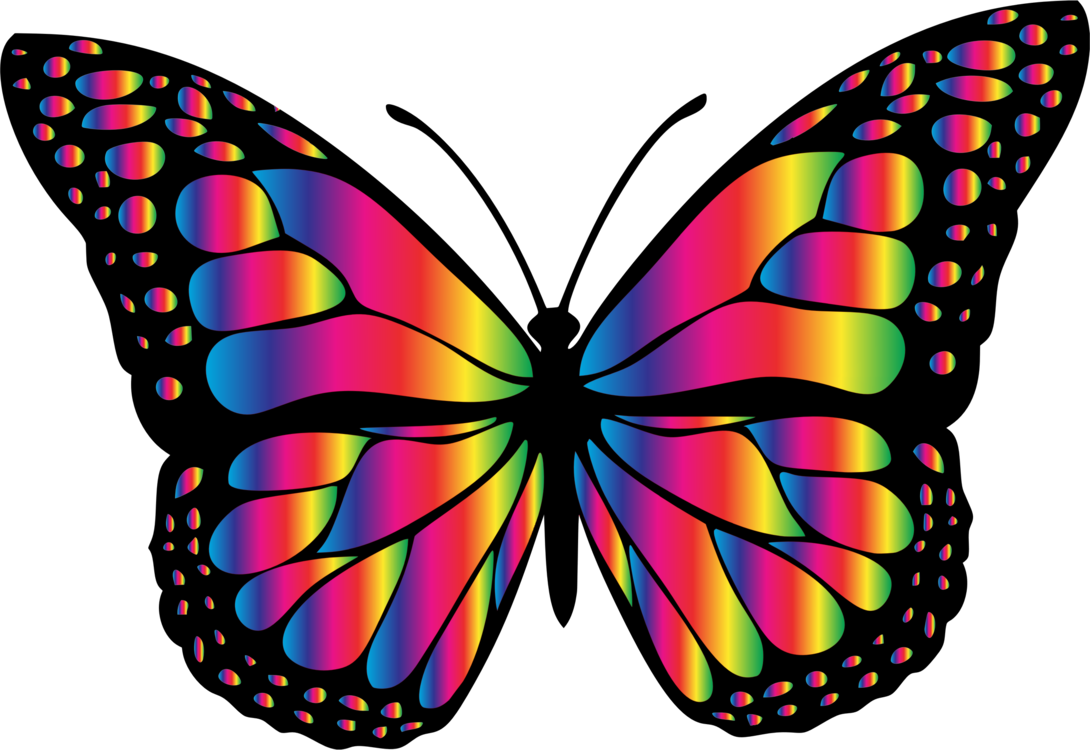 Бабочки на белом фоне