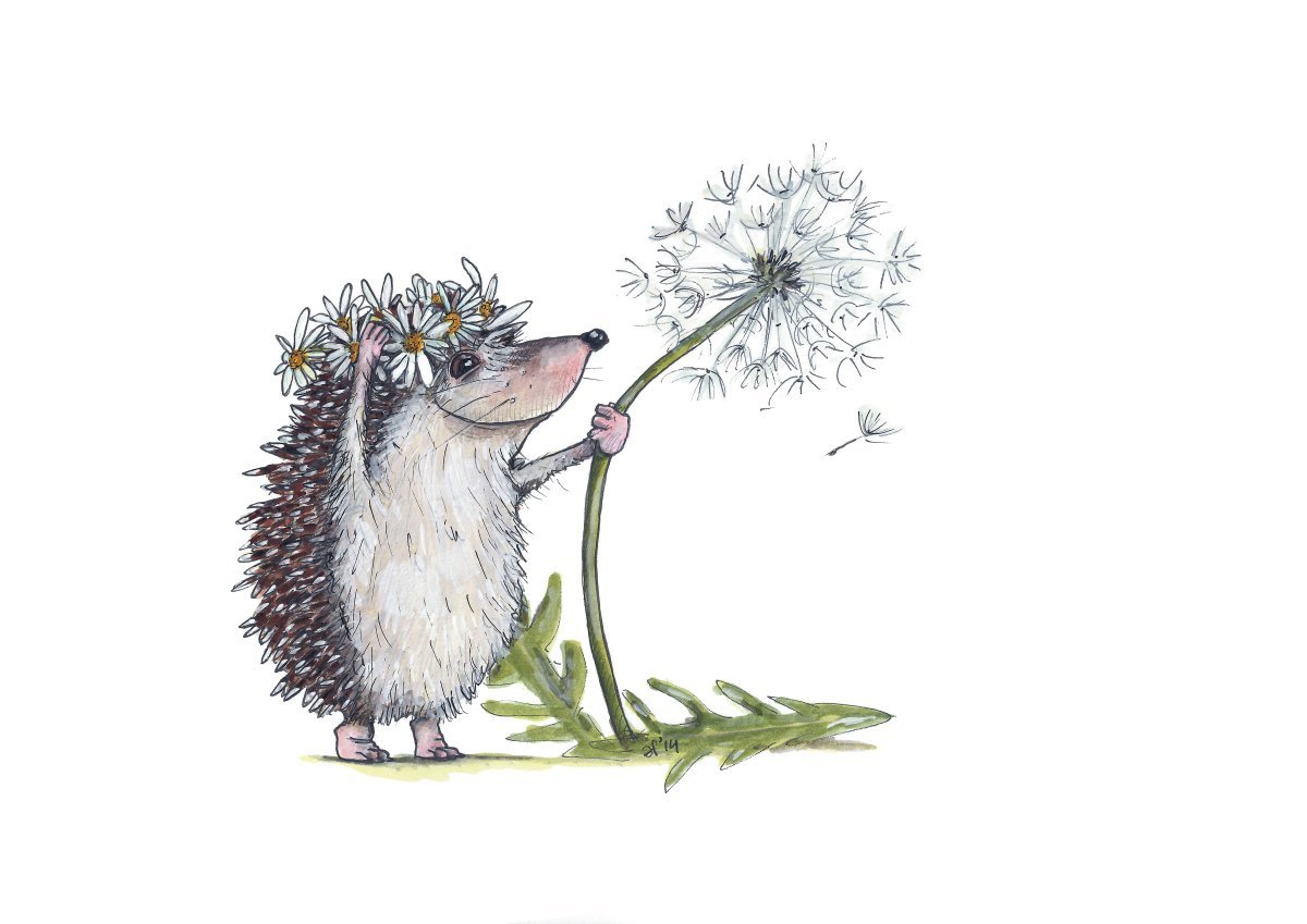 Сказка заяц и еж братья Гримм