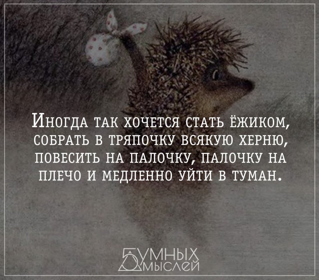 Цитаты из ежика в тумане