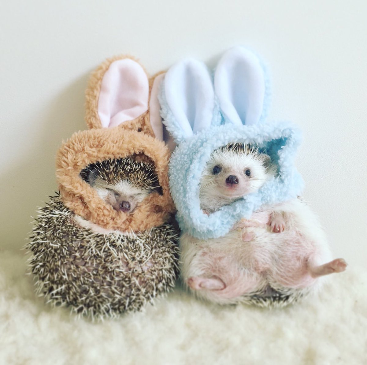 Ирина Пивоварова Ежик