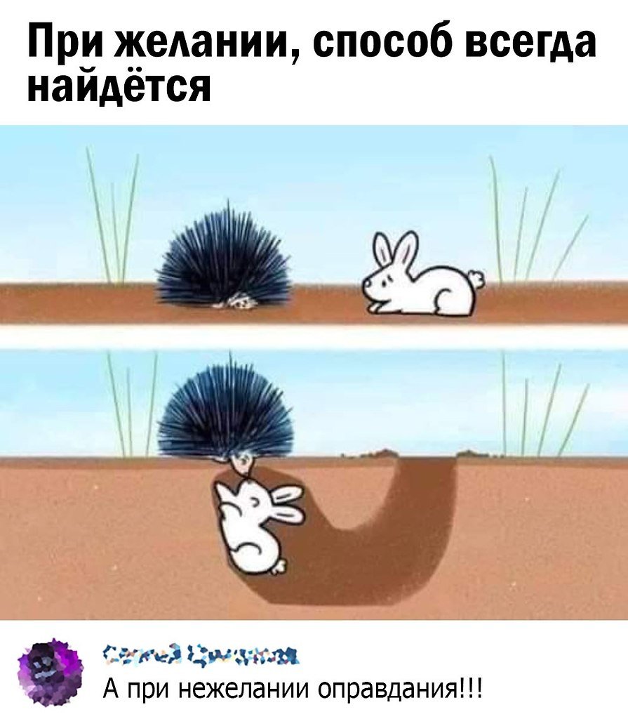 Ежик в тумане Постер