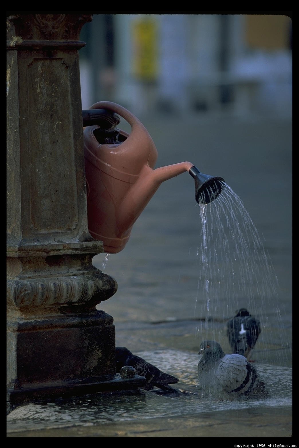 Дождь смешно