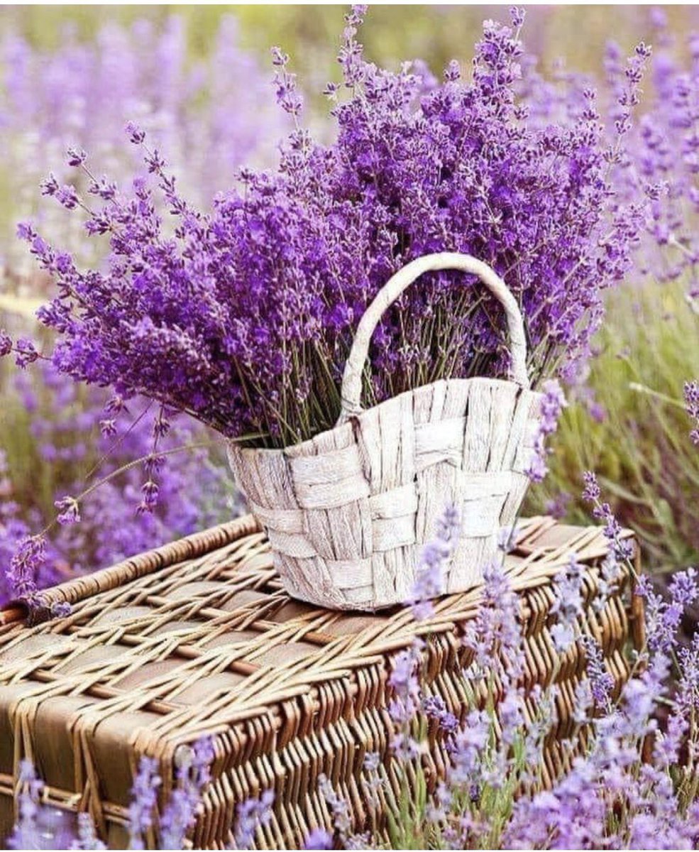 Кофе с лавандой