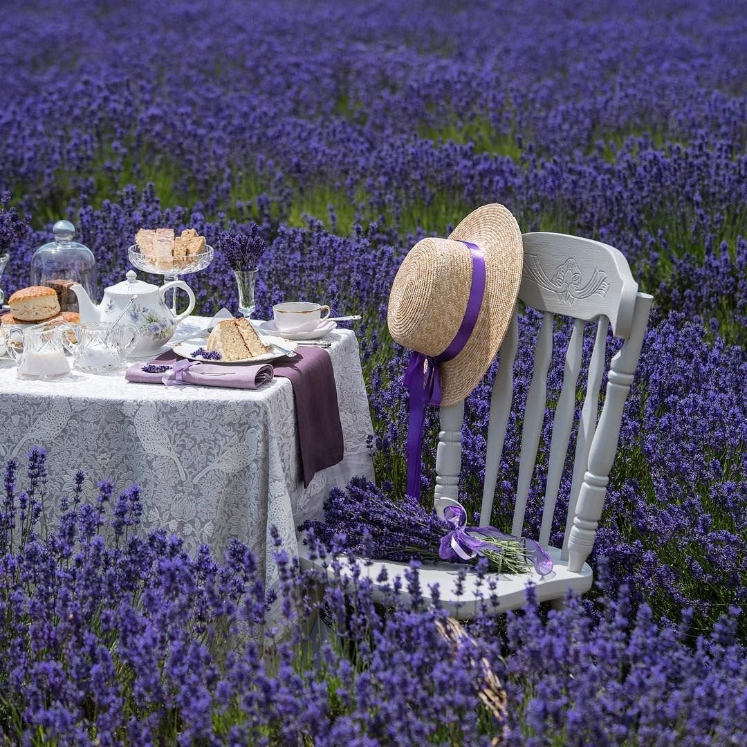 Цветы в чае Эстетика