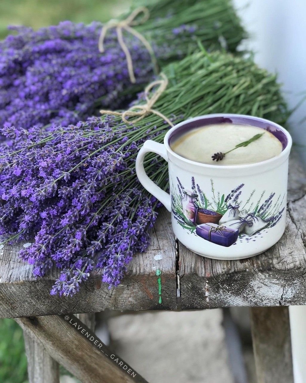 Лаванда шалфей Вереск