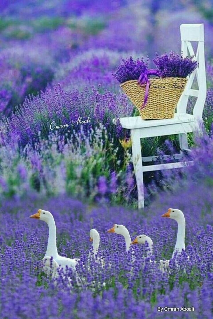 Бирюзовая чашка кофе