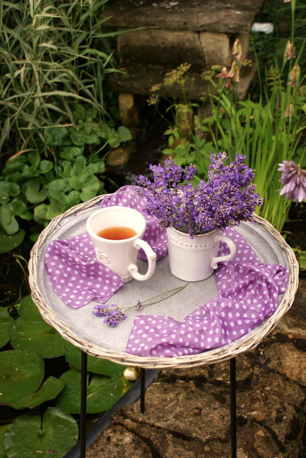 Лаванда пурпурный Колос