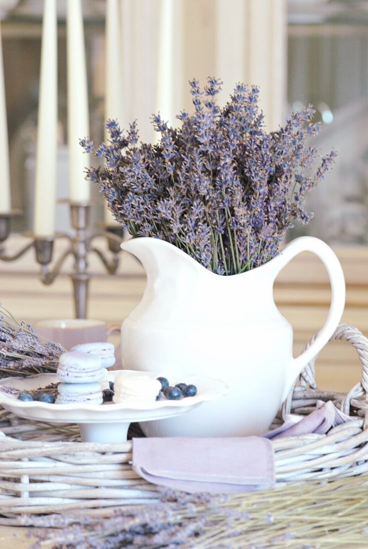 Лаванда цветок