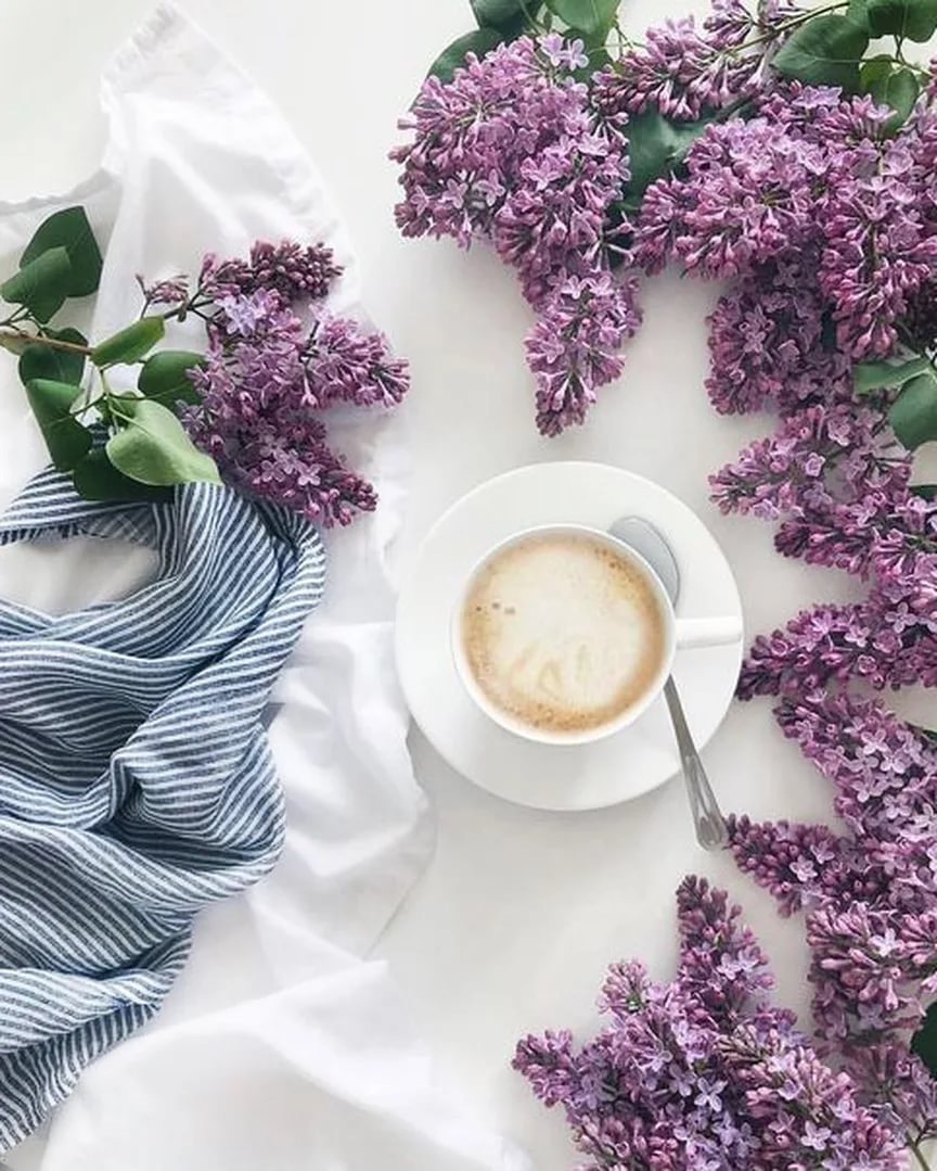 Красивое поле