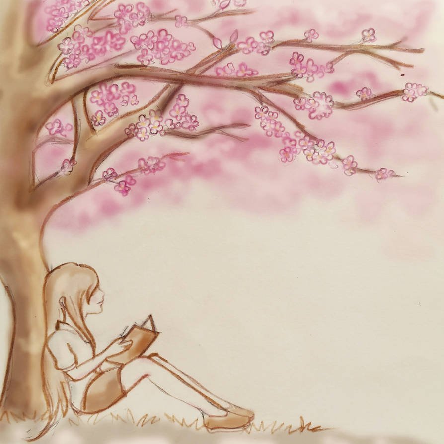 Сакура рисунок