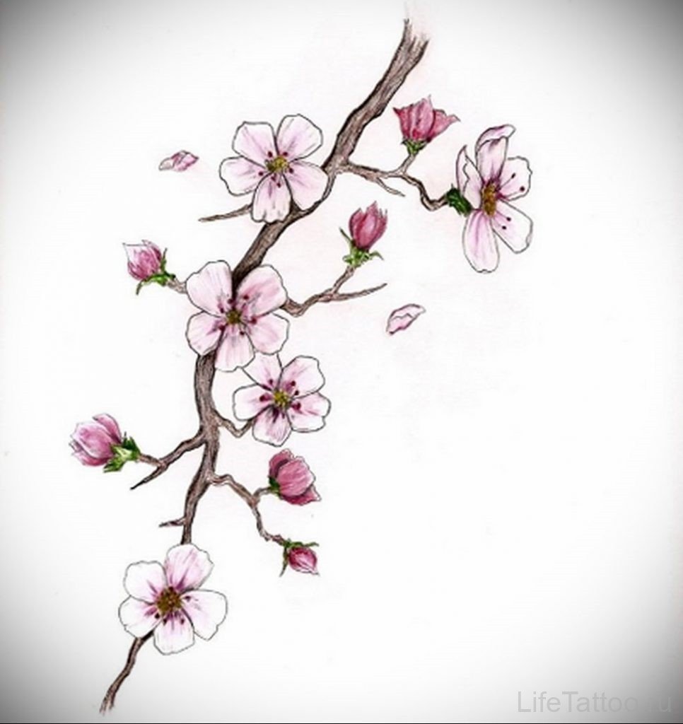 Сакура тату эскизы