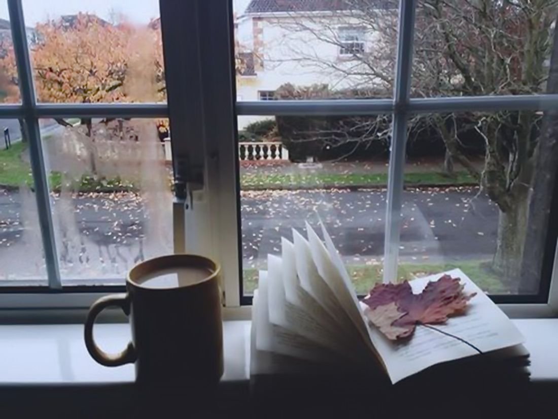 Чай и дождь за окном