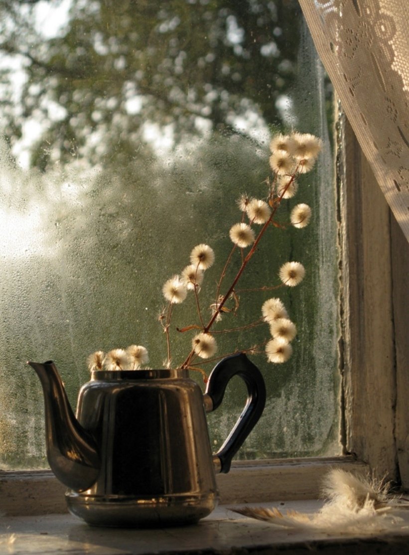 Чашка кофе у окна