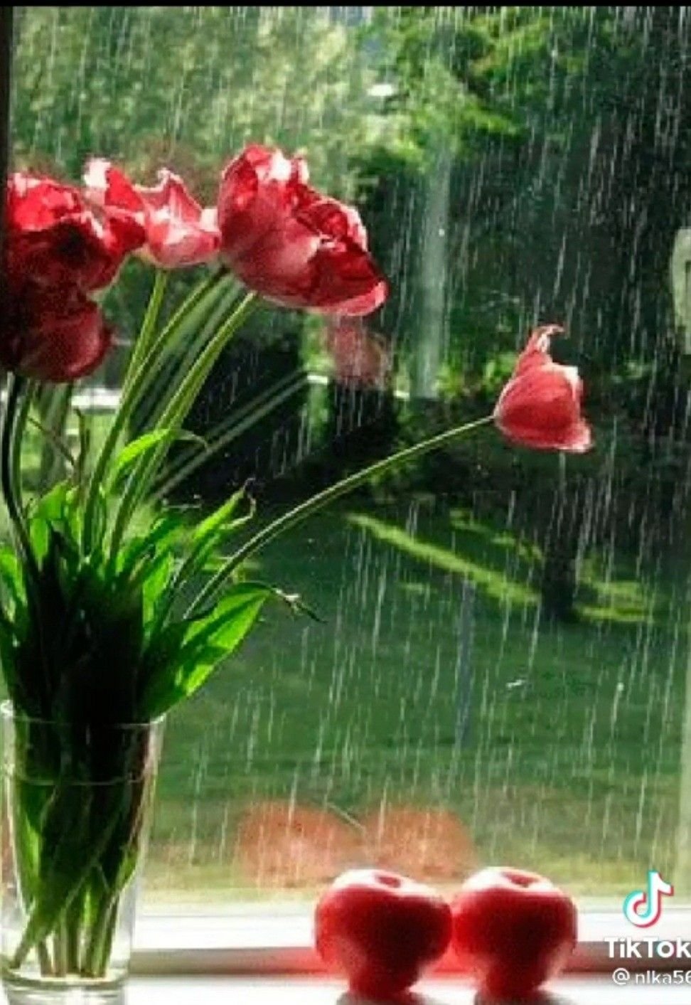 Дождь за окном