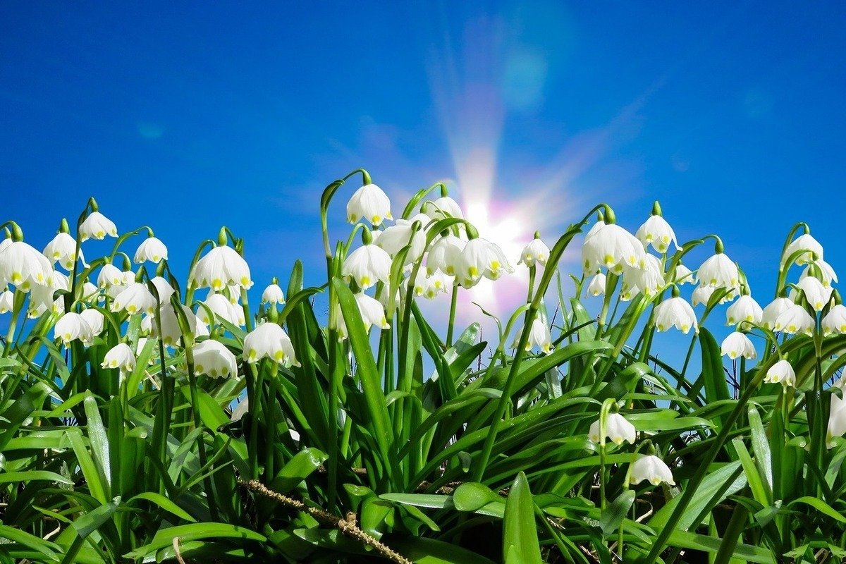 С днем весеннего равноденствия поздравления картинки красивые