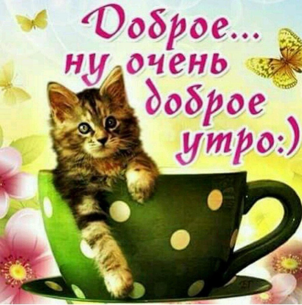 Доброе утро любимый