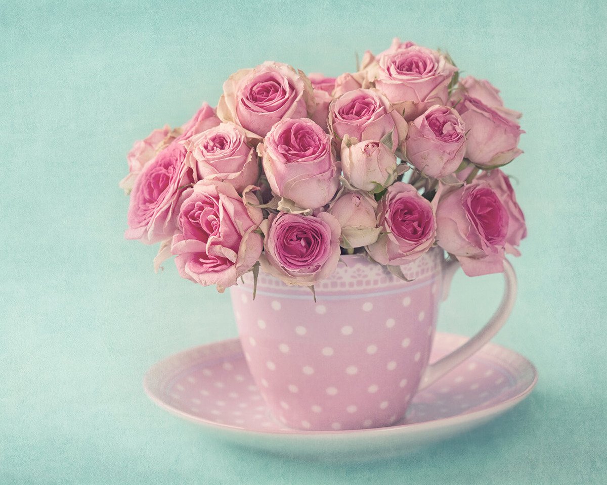 Нарисованная девушка в кафе