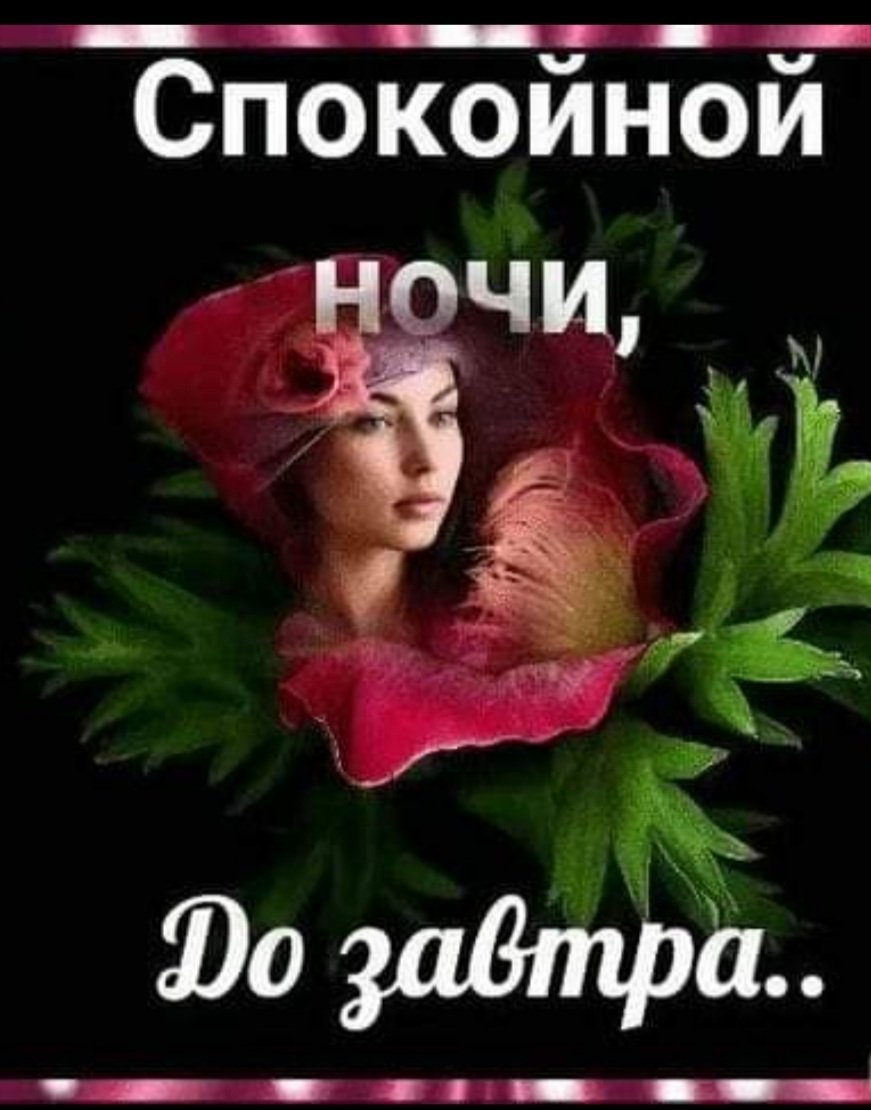 Спокойной ночи до завтра