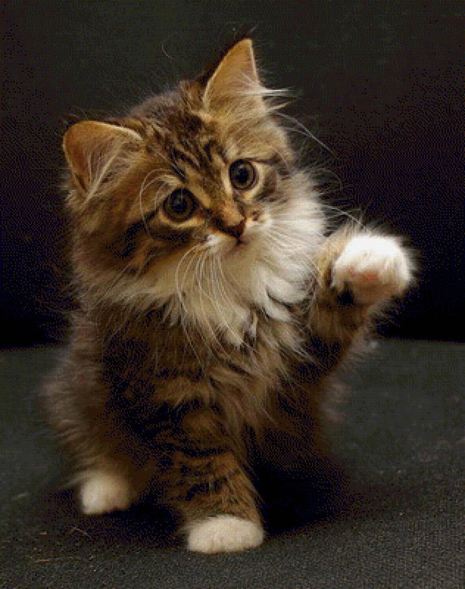 Доброй вам ночи и светлого завтра