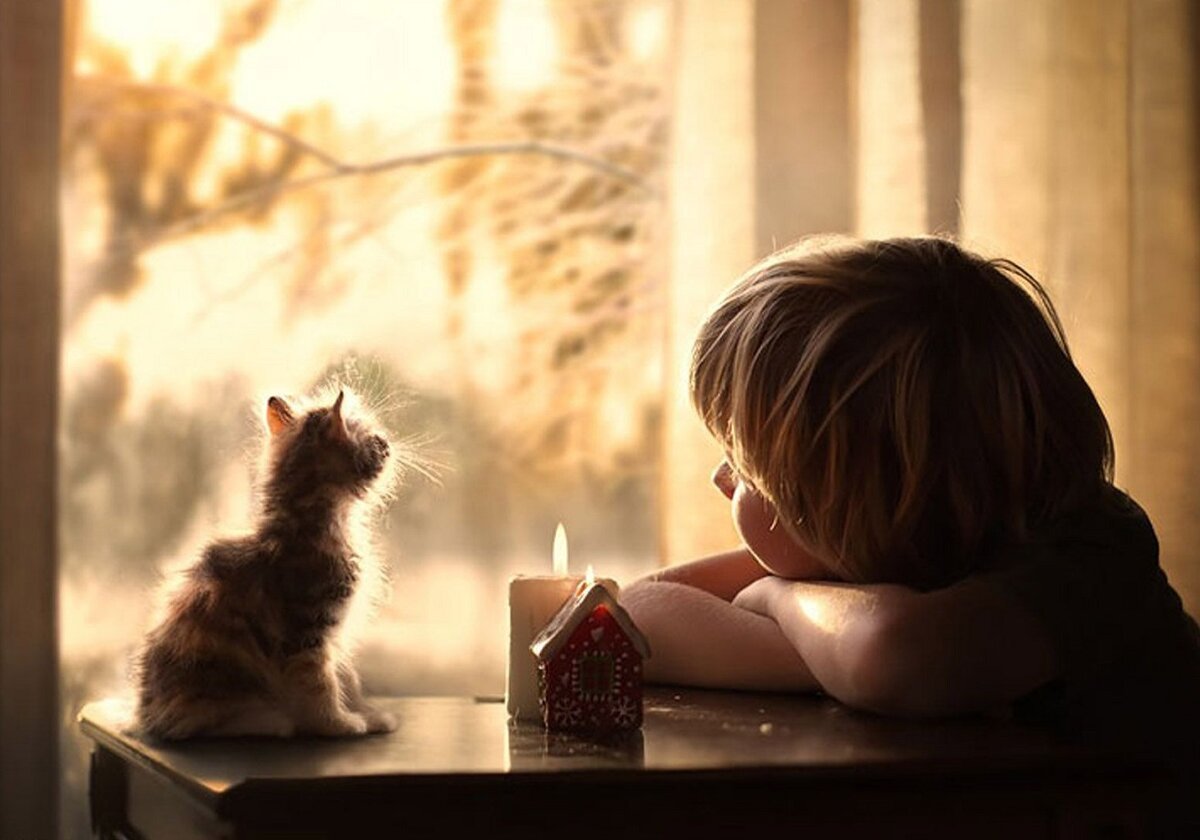 Тихого спокойного вечера