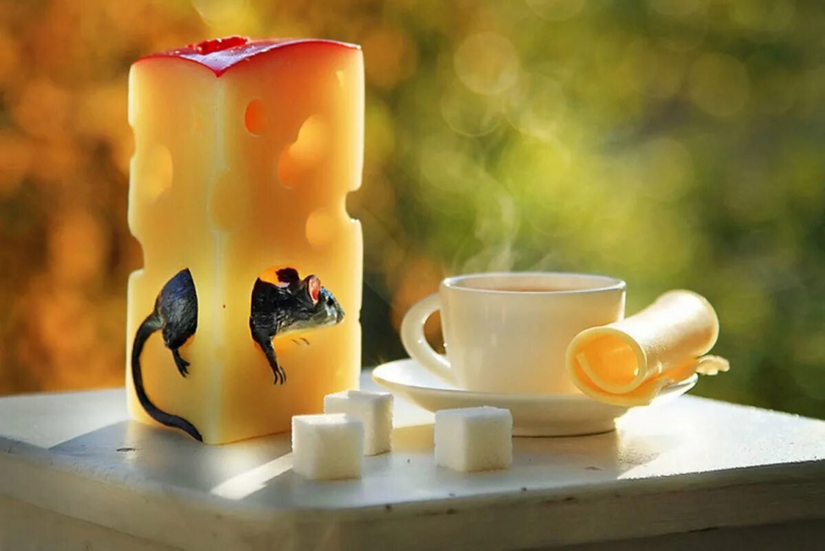 Прекрасного вечера