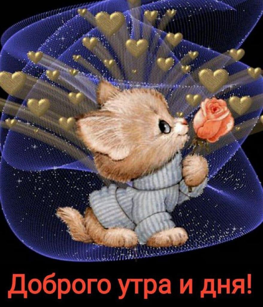 Милые вечерние картинки