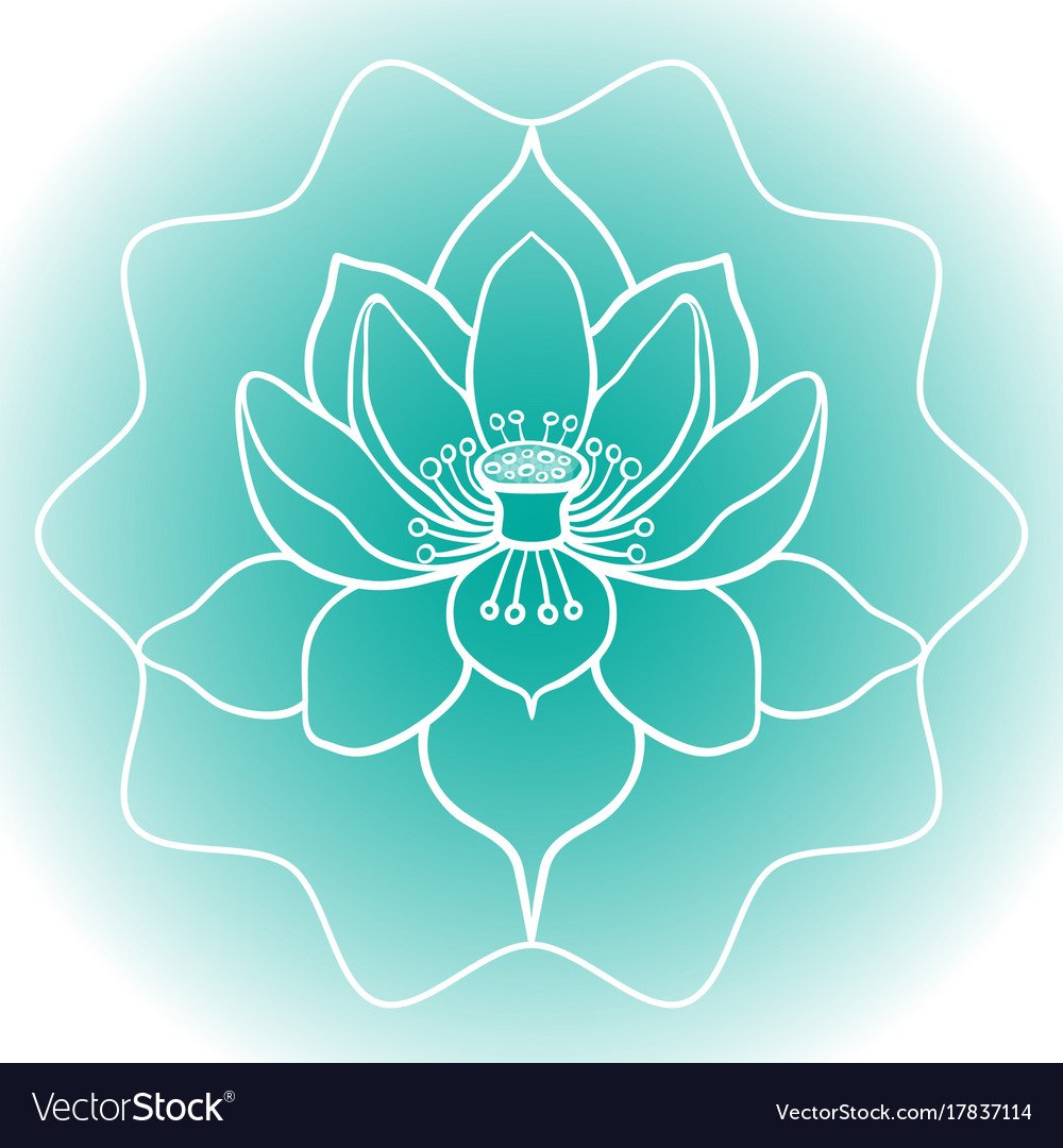 Цветок лотоса графический