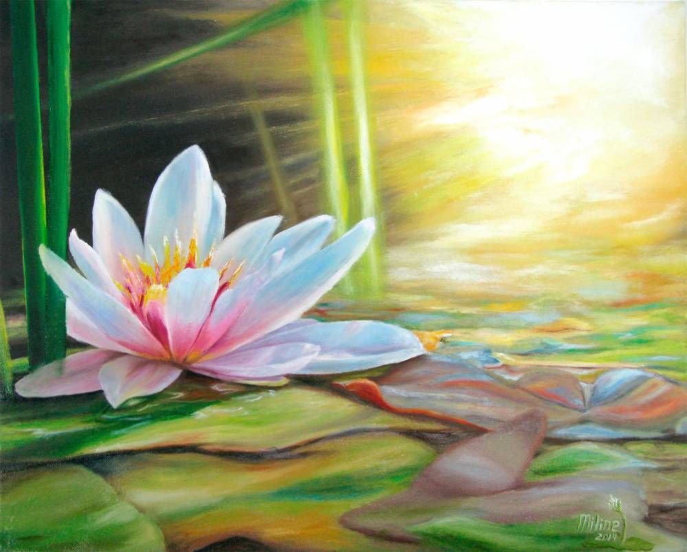 Лотос картина маслом