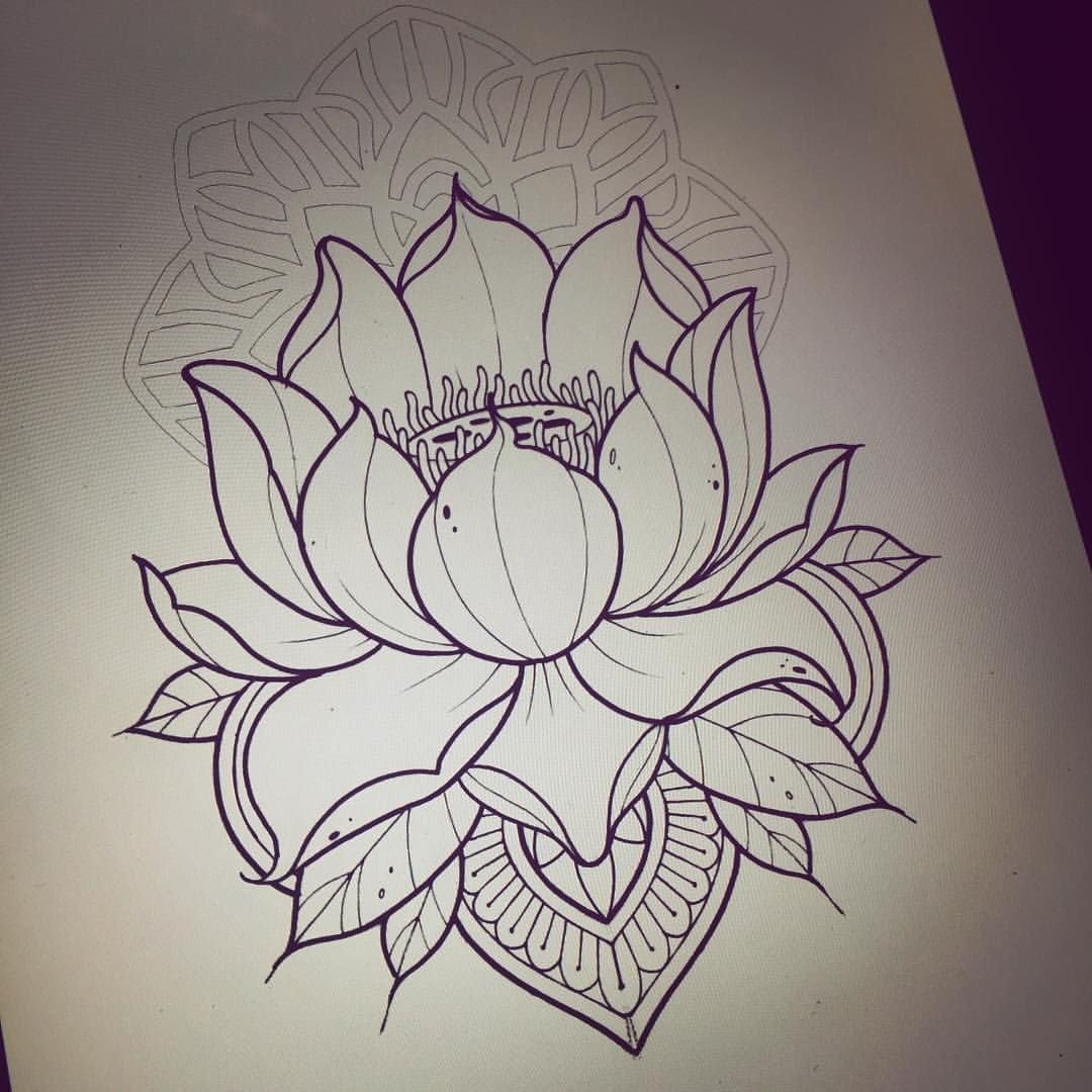 Лотус випшейдинг