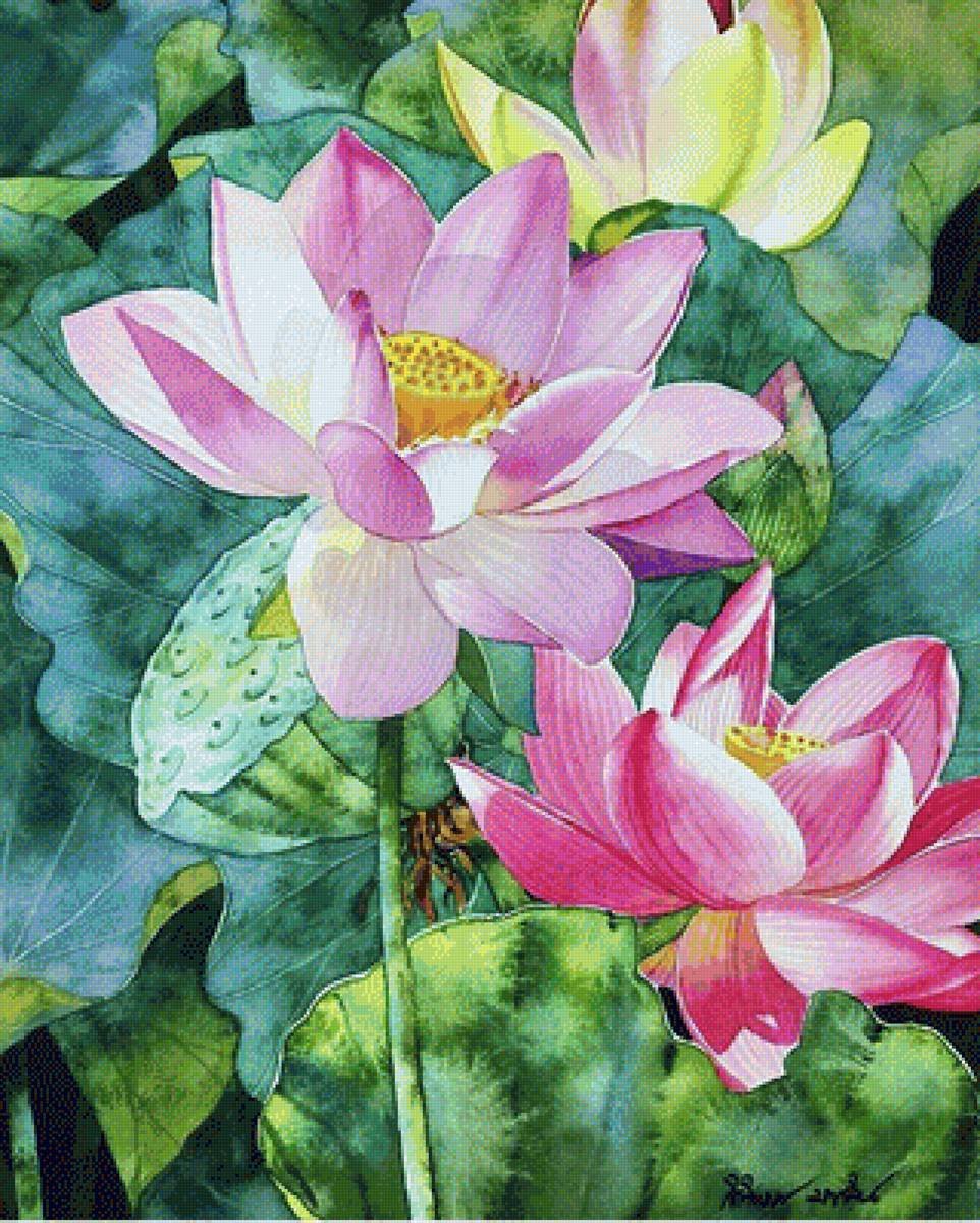 Kitipong Maksin акварель Lotus