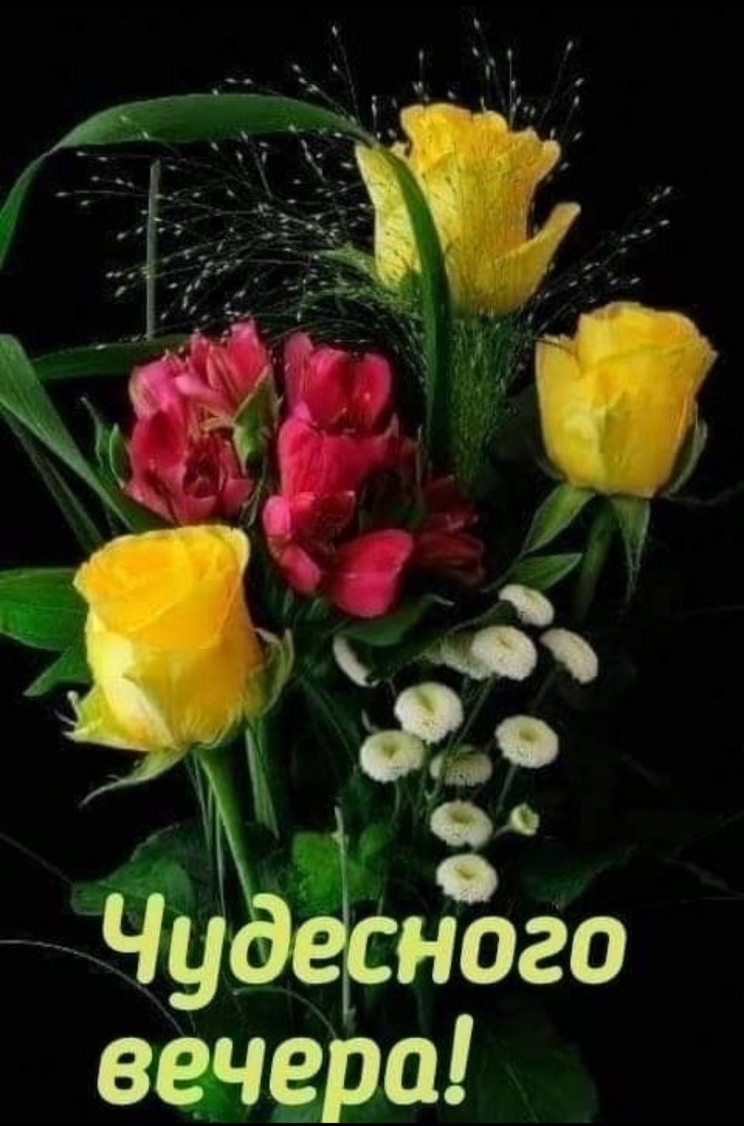 Красивые поздравления с добрым вечером