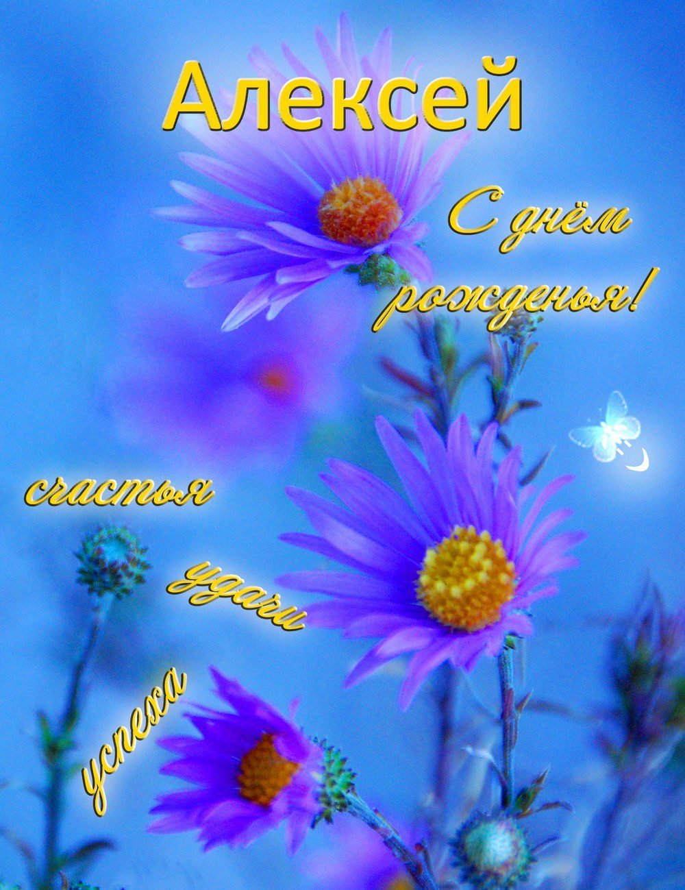 Поздравления с днём рождения