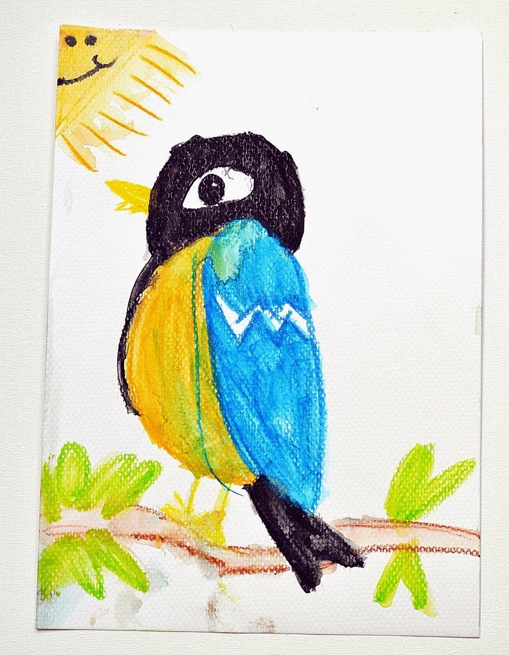 Рисунки птиц цветными карандашами