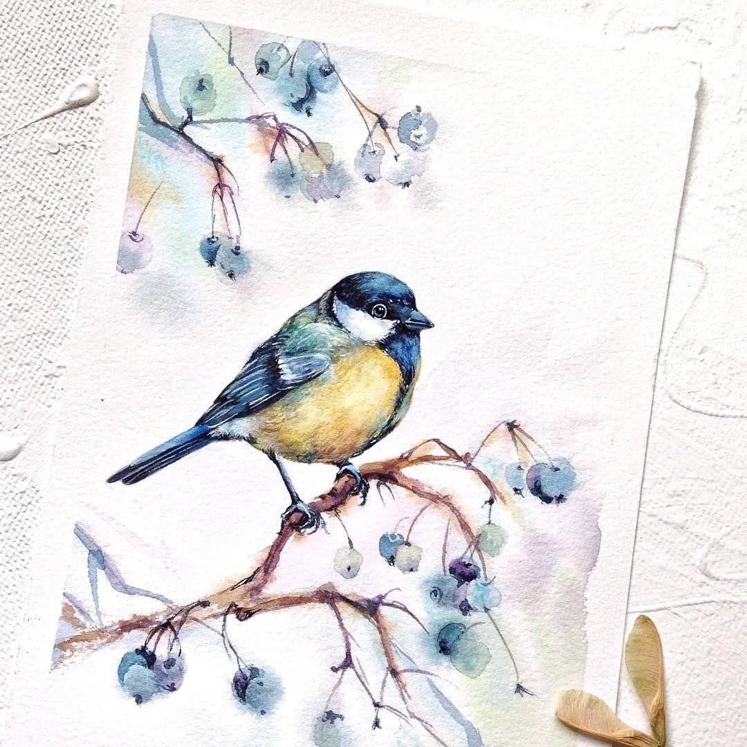 Рисование синица на ветке