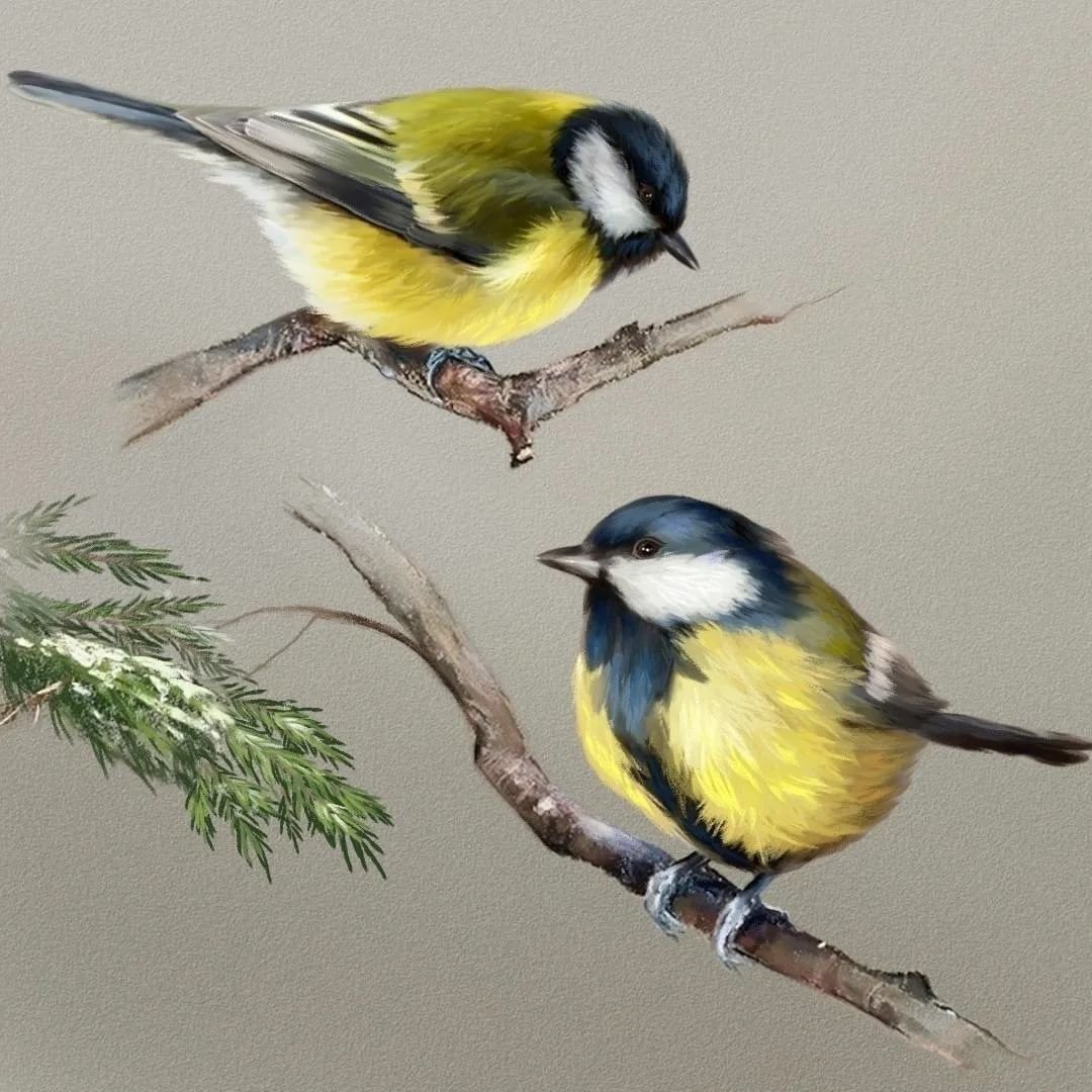 Акварели птицы художницы Альбины статных