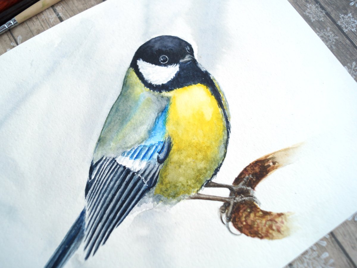 Синичка карандашом для срисовки