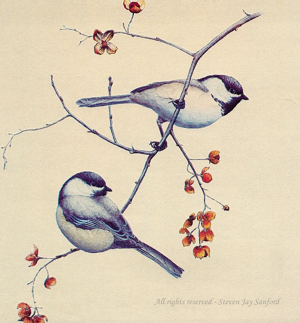 Синичка акварелью