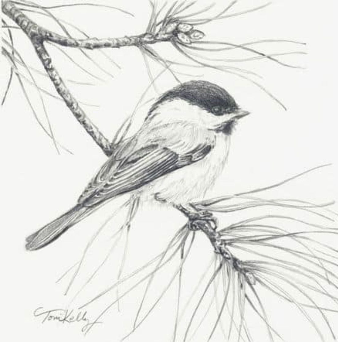 Синичка акварелью