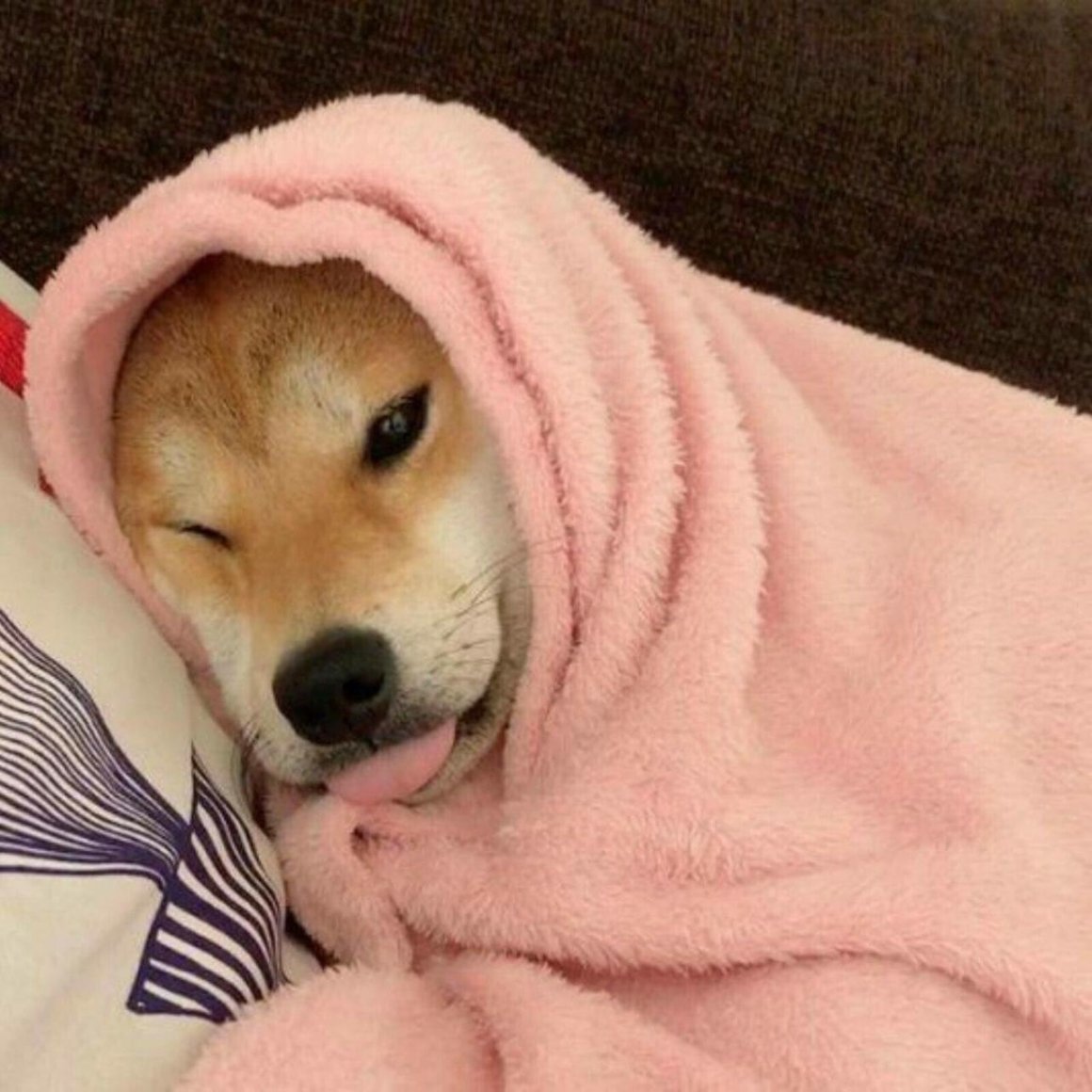 Животные акварелью